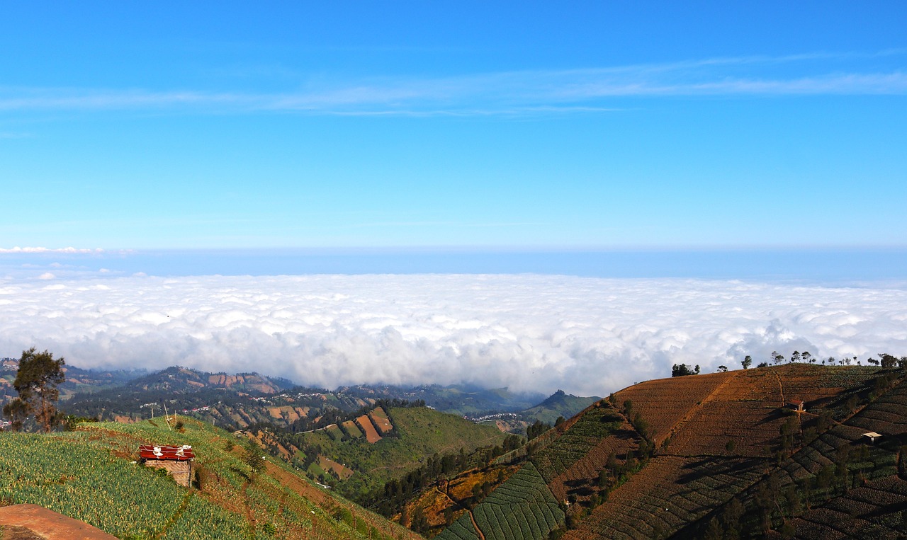 长城移动实名账号:流量卡和数字孪生文化