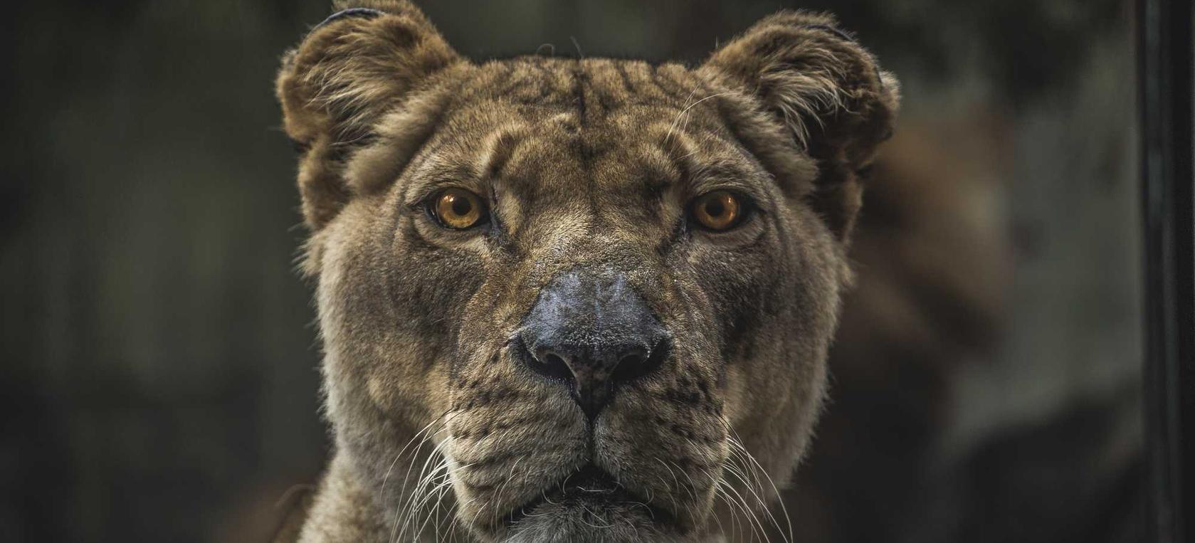 西安南郊代理注册