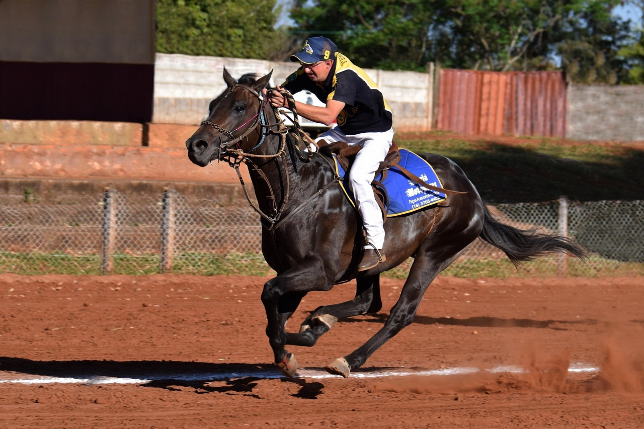 赫兹实名账号：江苏国际物流代理平台官网