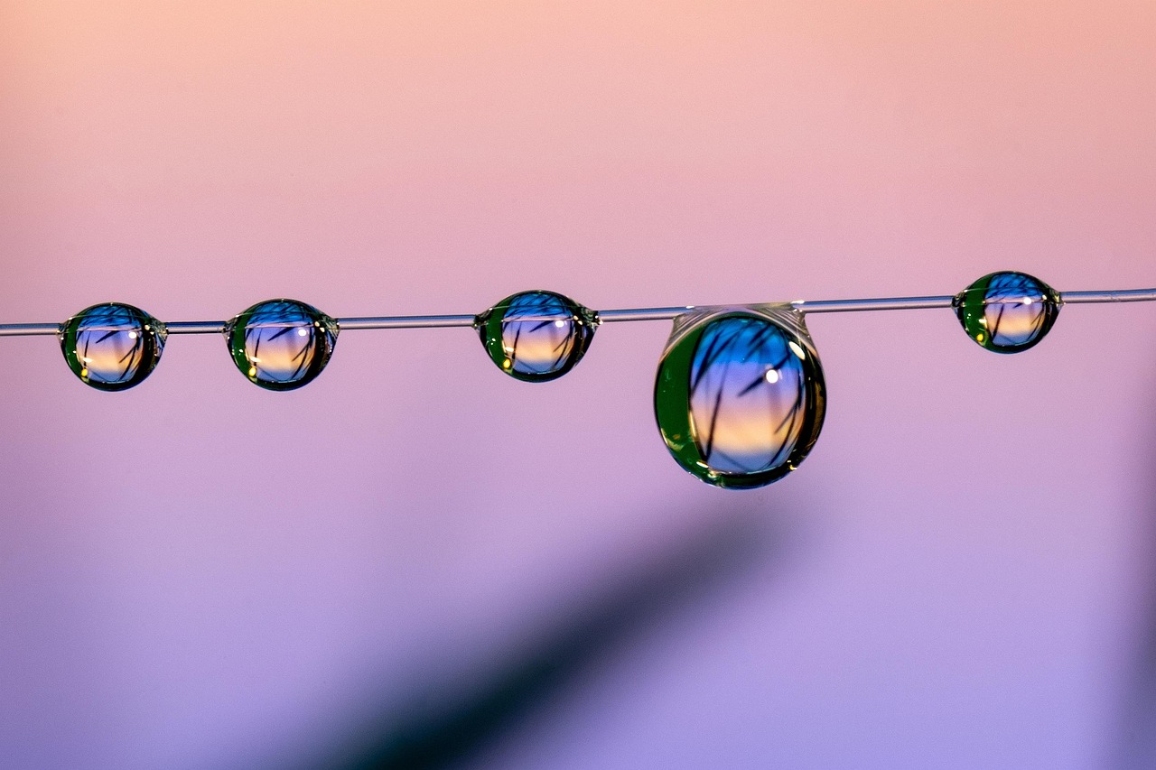 国外微信买卖：老司机电子书app详情下载教程