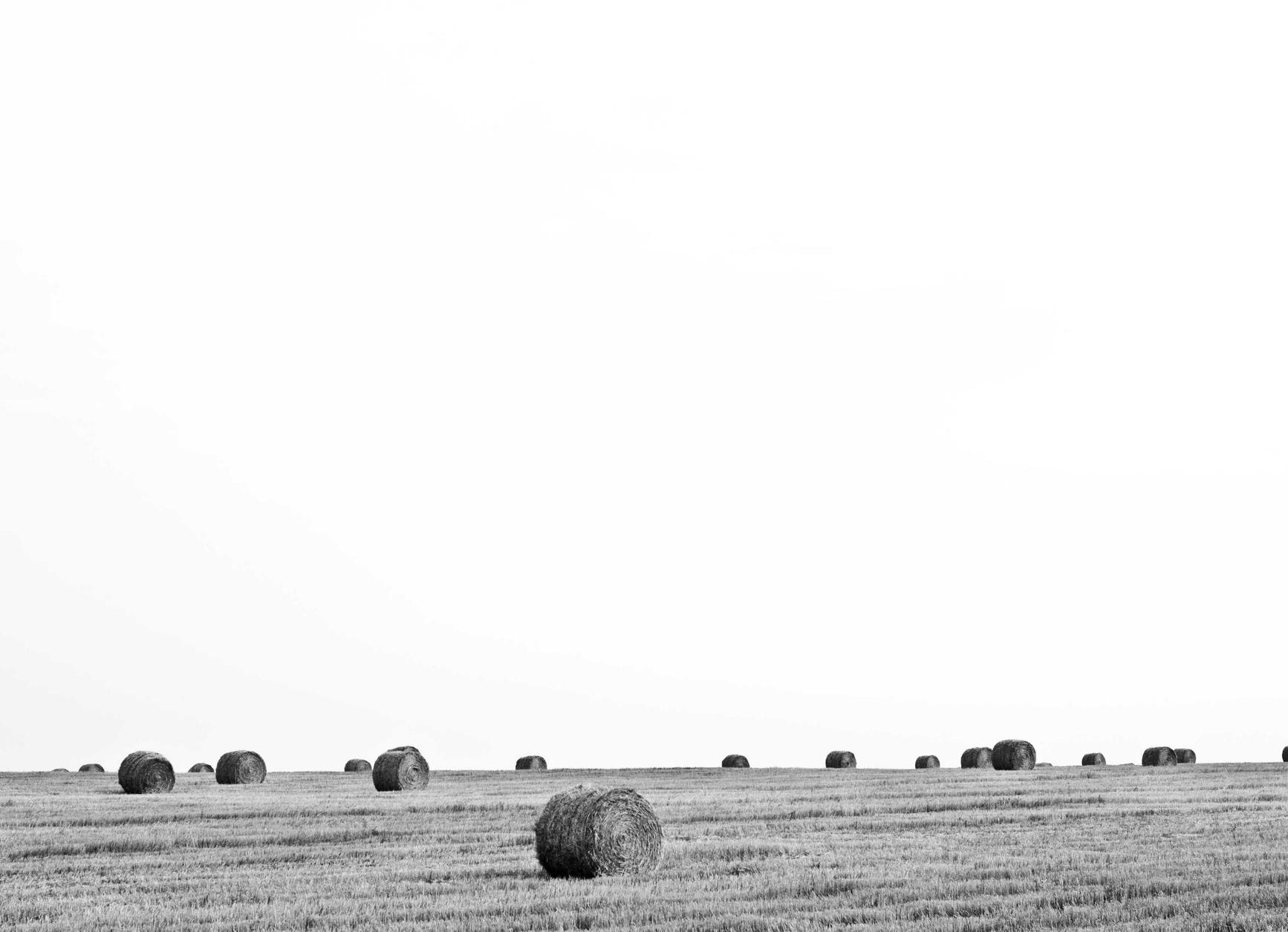 京东通信实名账号：学生购物平台代理