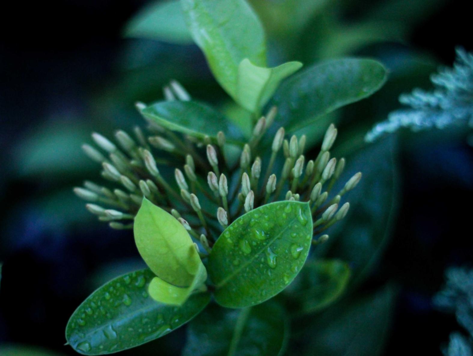 吸烟与饮食习惯