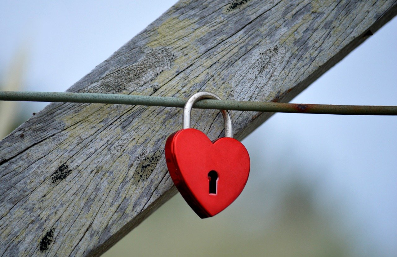 花亦山心之月辅助- 鹿城财务代理平台