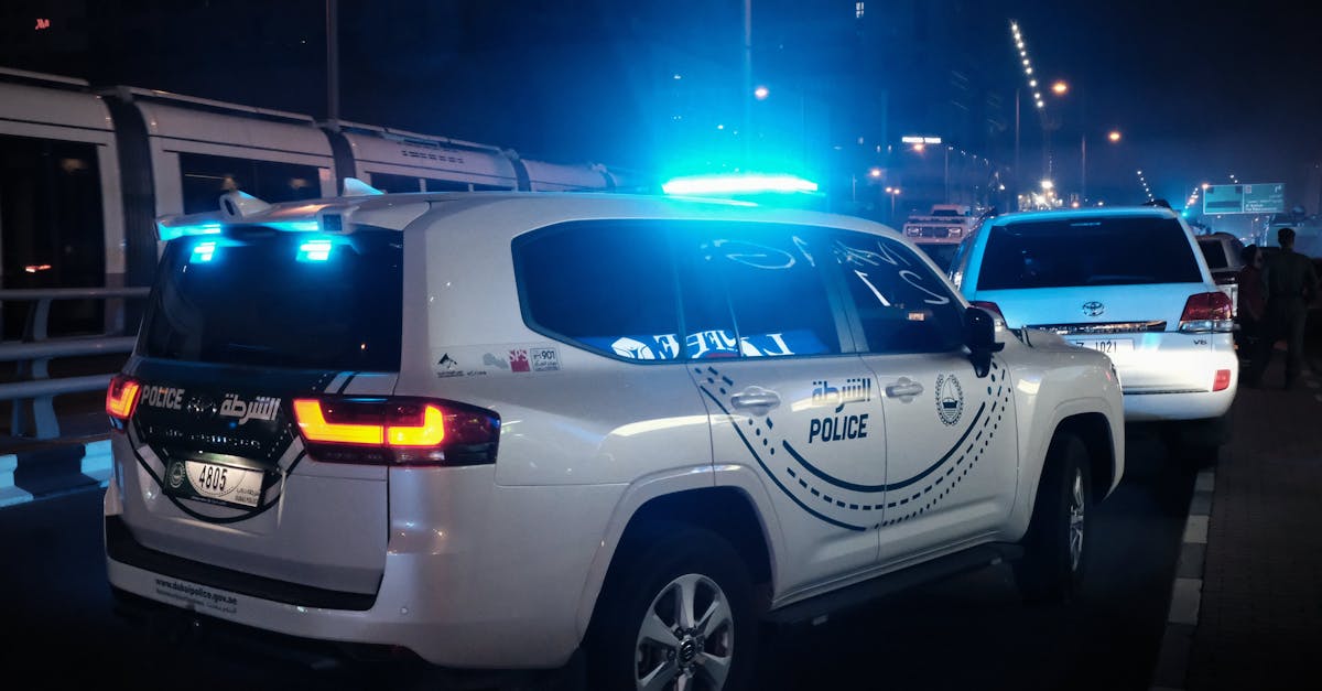 支付宝代刷人脸：总代理项目规划平台有哪些平台