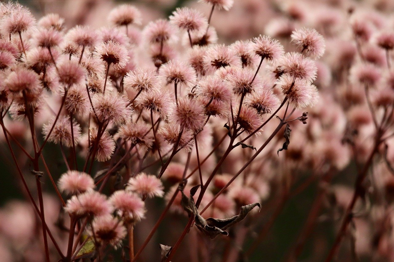 出售微信号码：深圳爽肤水代理平台