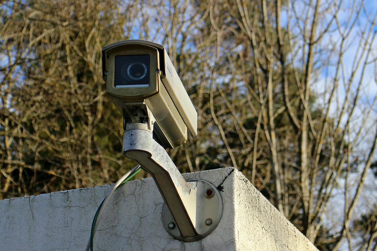 中国电信实名账号：代理网站注册域名